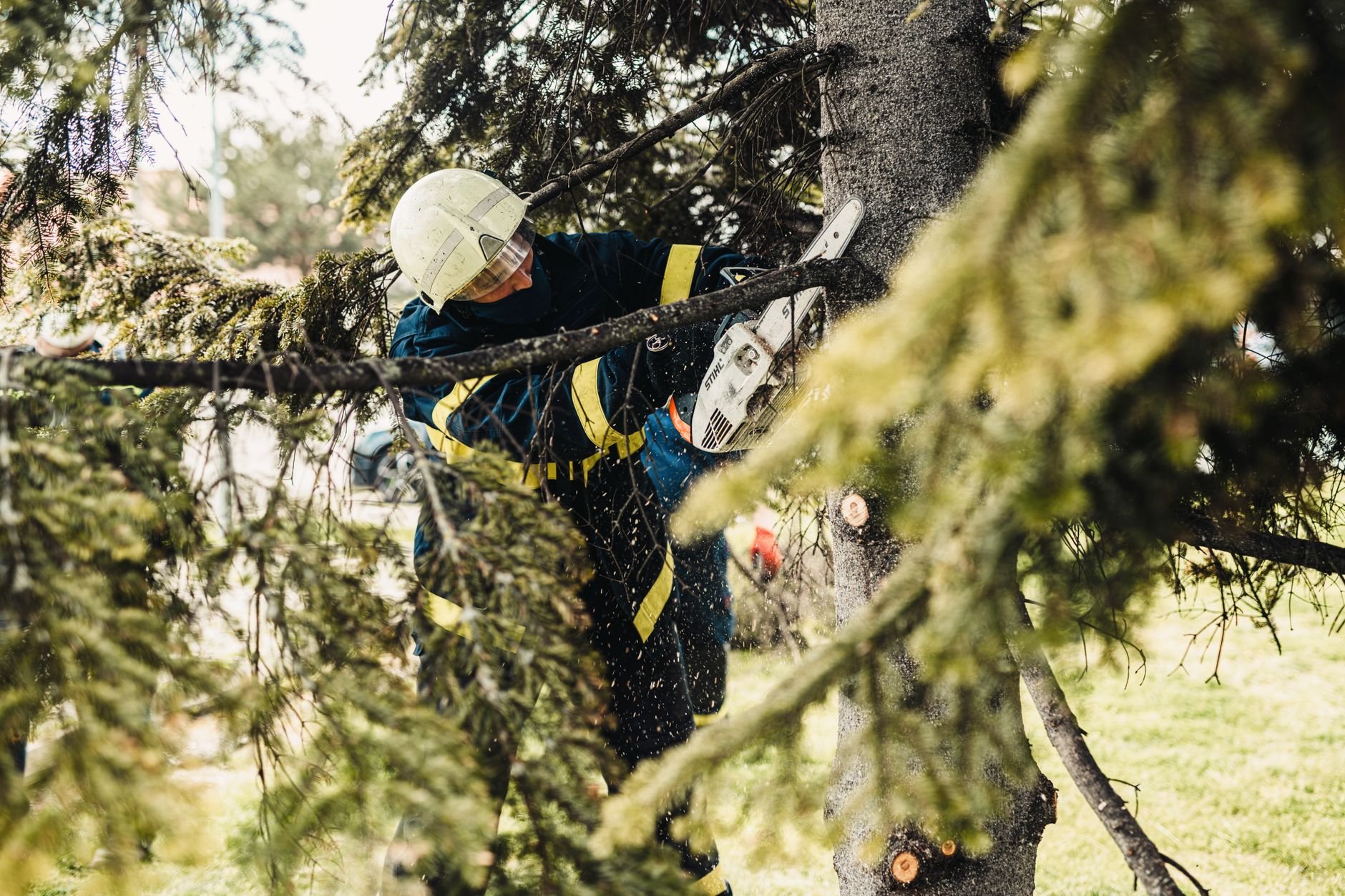 Certified arborist using chainsaw to cut tree branches